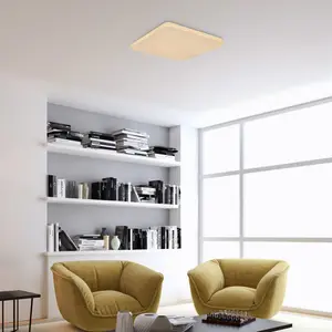 Square indoor ceiling metal lamps Rabalux Vendel 12W 3000K D28cm H6cm IP20 Classe G image-3