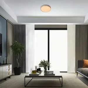 Interior ceiling lamp in metal and plastic class g Rabalux Nessira image-1
