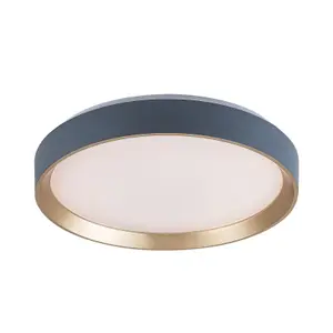 Lampada da soffitto per interni in metallo e plastica Rabalux Liatris 24 W image-0