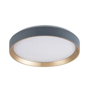 Lampada da soffitto per interni in metallo e plastica Rabalux Liatris 24 W image-1