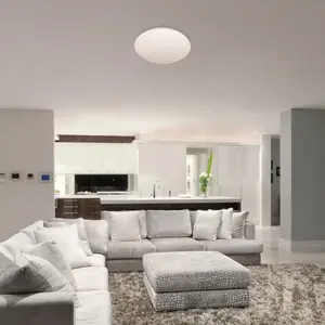 Lampada da soffitto per interni in metallo e plastica Rabalux Lucas 24 W image-1