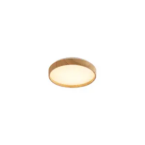 Lampada da soffitto a led Rabalux Leana2 image-0