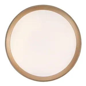 Oświetlenie sufitowe LED Rabalux Liatris2 image-0