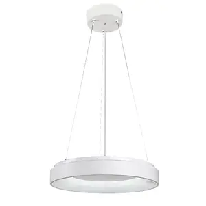 Indoor metal/plastic suspension ceiling light Rabalux Ceilo image-0