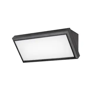 Surface-mounted outdoor plastic luminaire with class g plastic shade Rabalux Rapla 1000lm image-0