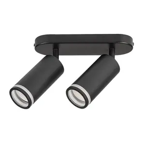 Plafonnier Rabalux Senobia GU10 2xMAX image-1