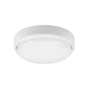 Plastikowa zewnętrzna lampa sufitowa Rabalux image-0