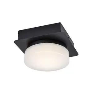 Invändig taklampa i metall Rabalux Attichus image-1