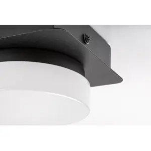 Invändig taklampa i metall Rabalux Attichus image-3