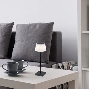 Metalowa wewnętrzna lampa stołowa ze ściemnianym kloszem z tworzywa sztucznego z przełącznikiem klasy G Rabalux Taena 4W image-2