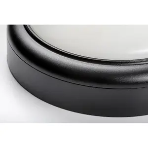 Lampada da parete per esterni in plastica Rabalux image-1