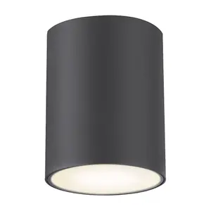 Metalen plafondlampen voor buiten, ronde downlight Rabalux Zombor D10xH13cm GU10 1xMAX 35W IP54 image-0