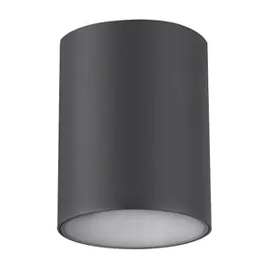 Metalen plafondlampen voor buiten, ronde downlight Rabalux Zombor D10xH13cm GU10 1xMAX 35W IP54 image-1