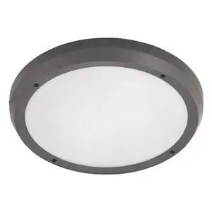 Zewnętrzna lampa sufitowa Rabalux Alvorada IP65 image-0