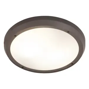Zewnętrzna lampa sufitowa Rabalux Alvorada IP65 image-1