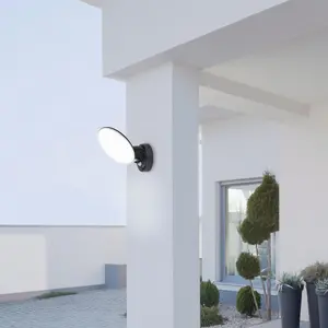 Utomhus LED-vägglampa med sensor Rabalux Varna 12W 720lm 4000K IP54 (10-1000lux) image-3