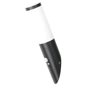 Aplique de exterior con sensor Rabalux Black Torch image-0