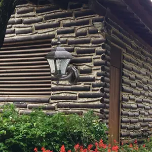 Zewnętrzna lampa ścienna z 1 wysokim ramieniem Rabalux Toscana image-1