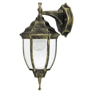 Outside wall light 1 arm down Rabalux Nizza image-0