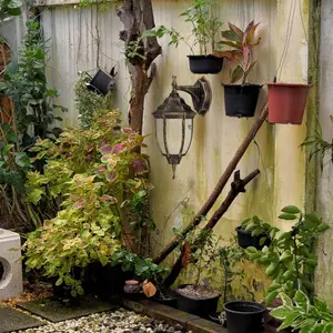 Outside wall light 1 arm down Rabalux Nizza image-1