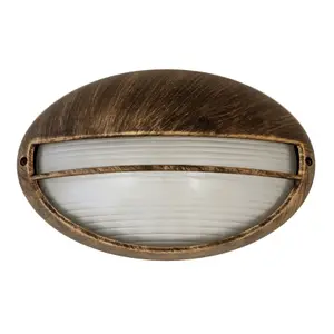 Outdoor oval chandelier Rabalux Hektor 32x20 6 cm image-0