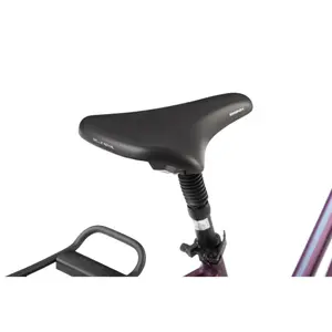 Damenrad RAD Sports Gazela 6 CS image-3