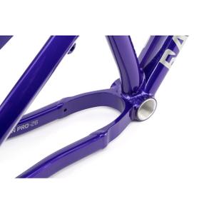 Frame Radio Bike Griffin Pro image-4