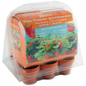 Educational games greenhouse 6 strawberry pots Radis et Capucine image-1