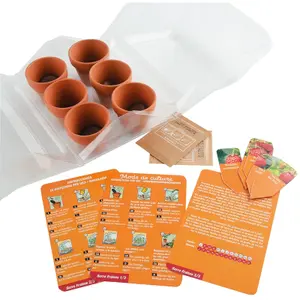 Educational games greenhouse 6 strawberry pots Radis et Capucine image-0
