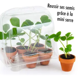 Educational games greenhouse 6 strawberry pots Radis et Capucine image-3