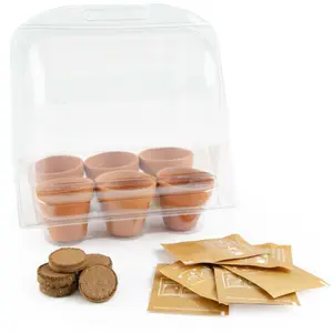 Educational games greenhouse 6 pots 1st garden Radis et Capucine image-2