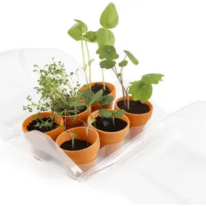 Educational games greenhouse 6 pots 1st garden Radis et Capucine image-0