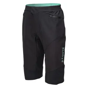 Korte Radvik Xray GTS image-2