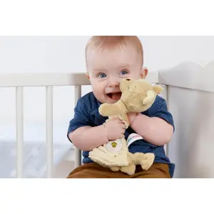 Doudou Rainbow Designs Classic Winnie The Pooh image-4