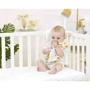 Doudou Rainbow Designs Disney Baby Lion King image-4