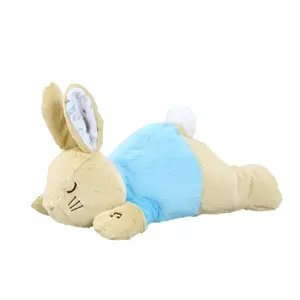 Pluche Rainbow Designs Lying Down Musical Peter Rabbit image-0
