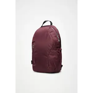 Backpack Rains Delphi image-1