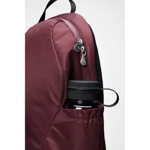 Backpack Rains Delphi image-3