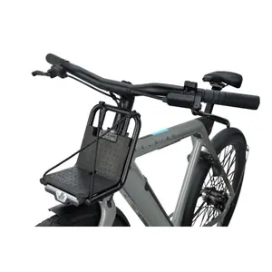 Portapacchi anteriore Raleigh One