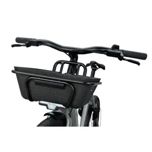 Přední nosič

 Raleigh One