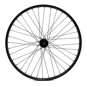 Rueda delantera Raleigh E-BIKE