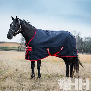 Outdoor-Decke für Pferde Rambo Original 200g image-2