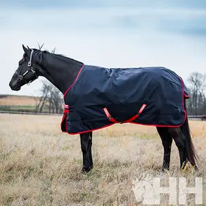 Outdoor-Decke für Pferde Rambo Original 200g image-4