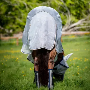 Rovarriasztó takaró nyakvédővel lovaknak Rambo Protector Plus image-3