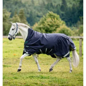 Manta de exterior para caballos Rambo 1680D Wug 50g image-1