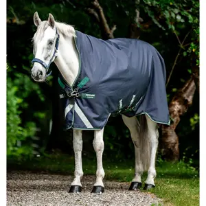 Manta de exterior para caballos Rambo 1680D Wug 50g image-2