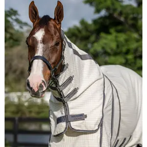 UV-deken voor paard Rambo Optimo Supreme Plus image-3