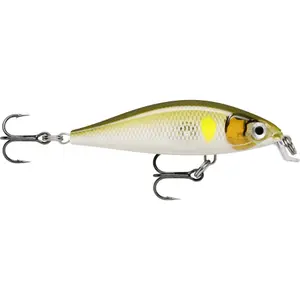 Lure Rapala X-Light Minnow FNM05 image-0