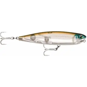Lure Rapala Prec.Xtreme Pencil Sw107 image-0