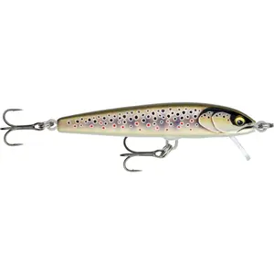 Σκληρός δόλωμα για σαρκοφάγα ψάρια Rapala Floater Elite image-0